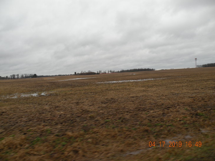 Photographic Image