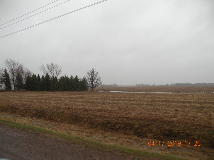 Photographic Image